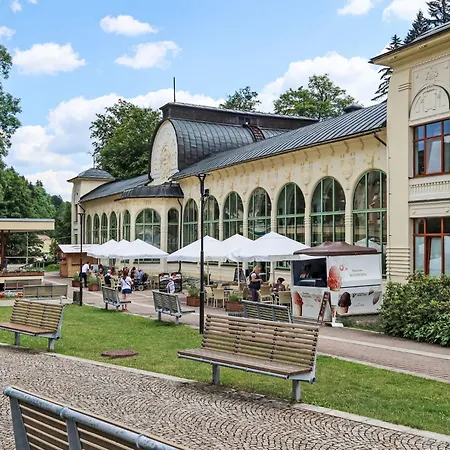 Jansky Potok I-6 By Interhome Apartmán Janské Lázně